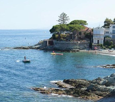 Cap Corse Une Villa Dans Un Nid De Verdure San-Martino-di-Lota Eksteriør bilde