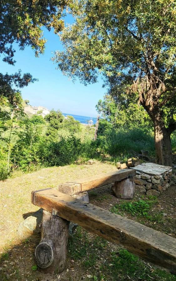 Cap Corse Une Villa Dans Un Nid De Verdure San-Martino-di-Lota Eksteriør bilde