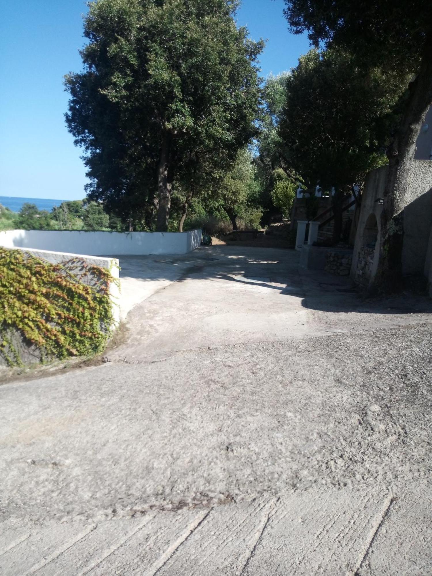 Cap Corse Une Villa Dans Un Nid De Verdure San-Martino-di-Lota Eksteriør bilde